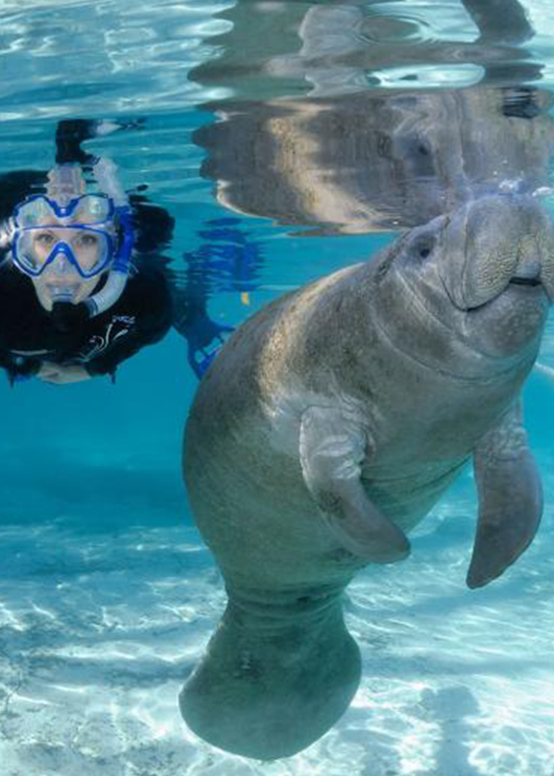 discover-crystal-river